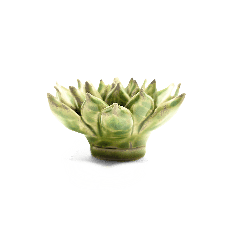 Japan Ceramic Flower Green Succulent - Chive UK