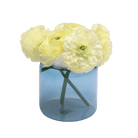 Jar Glass Modern Flower Vase - Chive UK