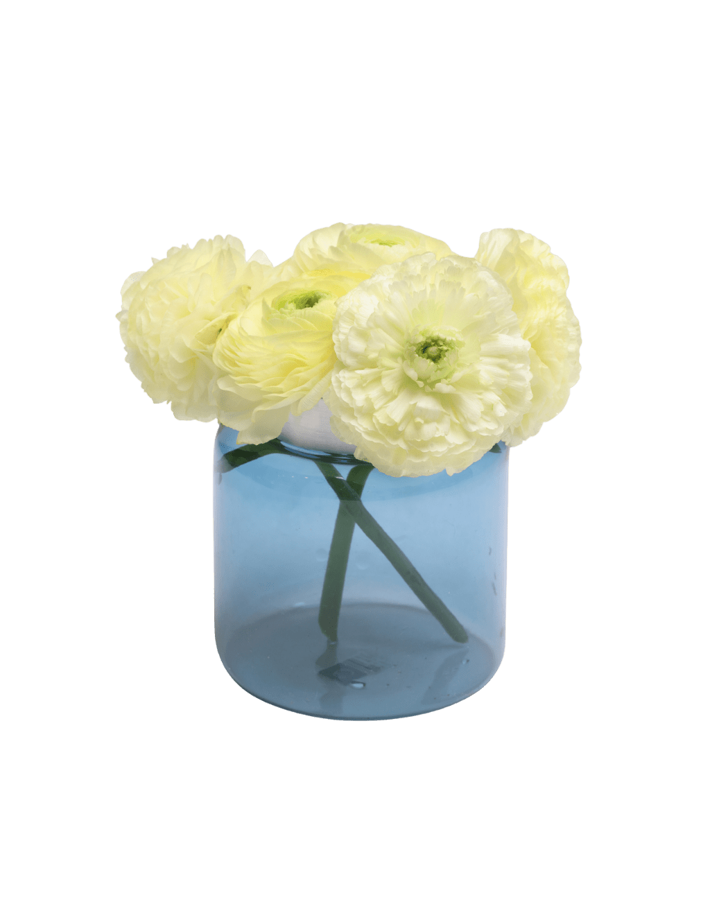 Jar Glass Modern Flower Vase - Chive UK