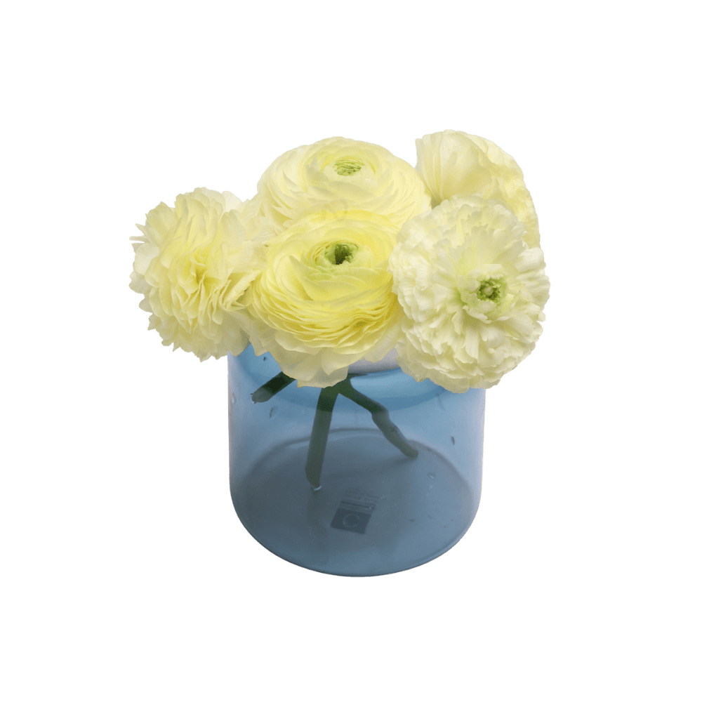 Jar Glass Modern Flower Vase - Chive UK