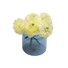 Jar Glass Modern Flower Vase - Chive UK