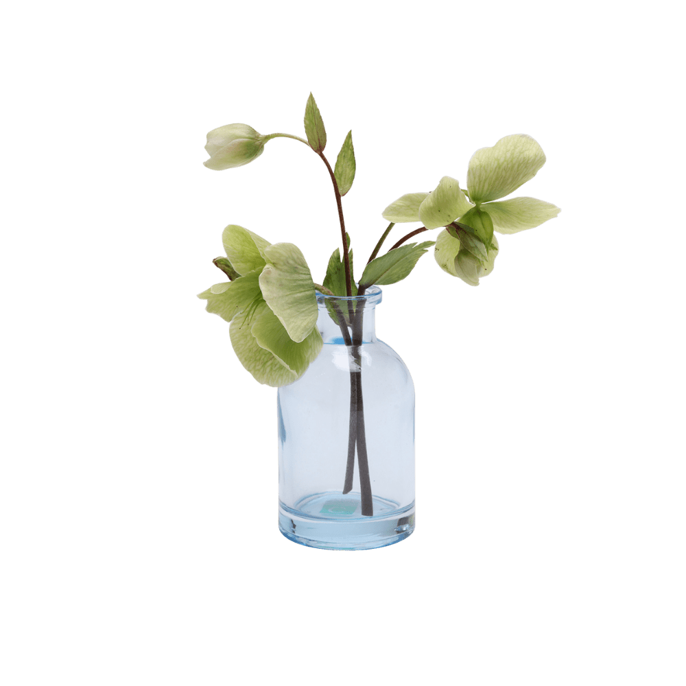 Loft Glass Vintage Bud Vases For Weddings - Chive UK