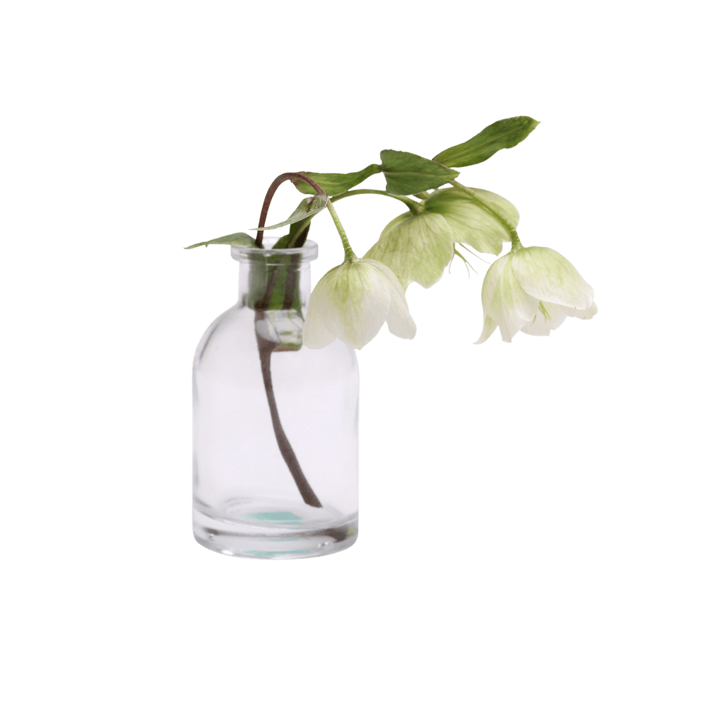 Loft Glass Vintage Bud Vases For Weddings - Chive UK