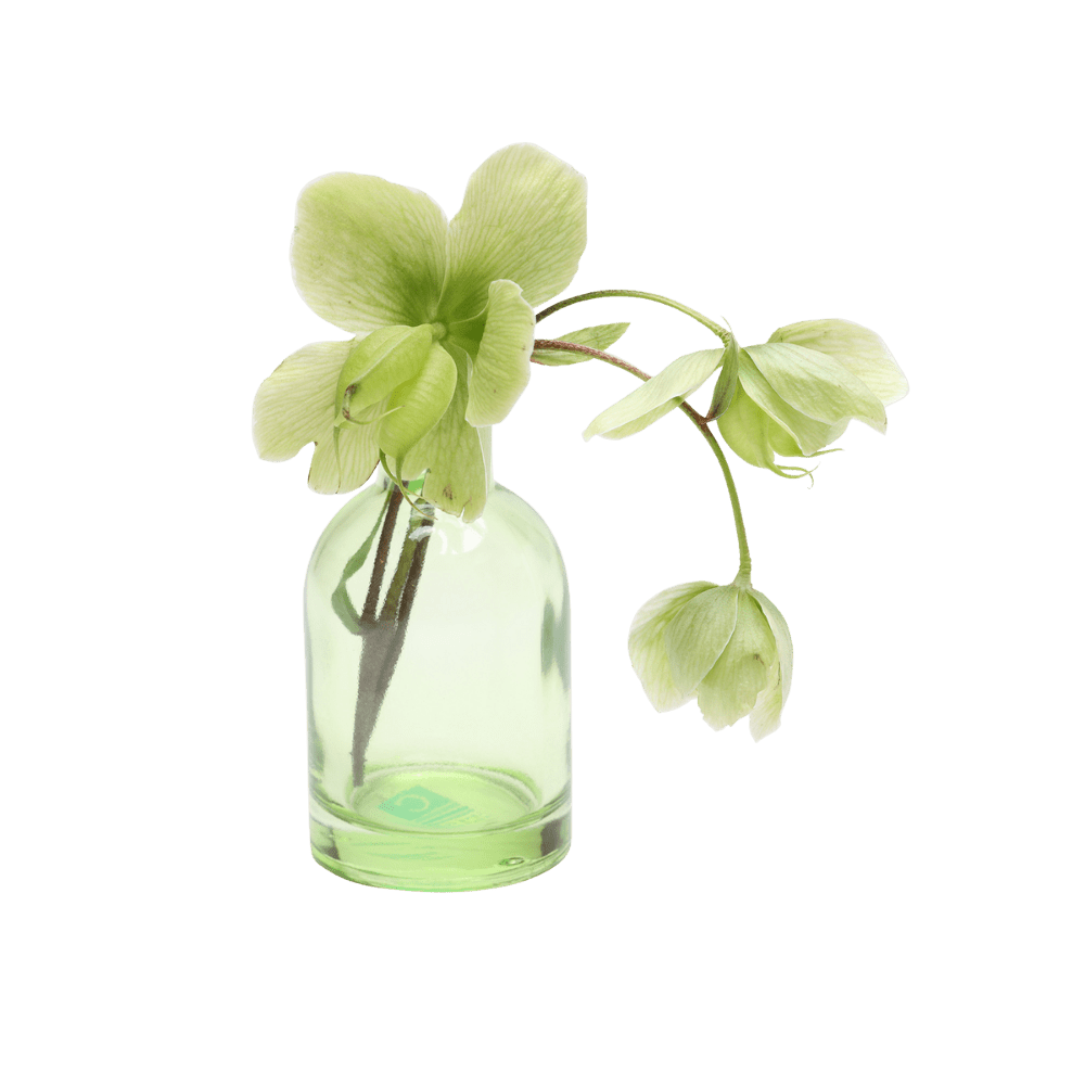 Loft Glass Vintage Bud Vases For Weddings - Chive UK