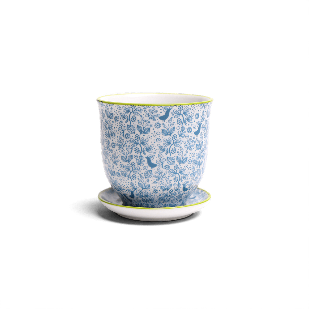 Liberte Porcelain Pot And Saucer Set With Drainage - Chive UK