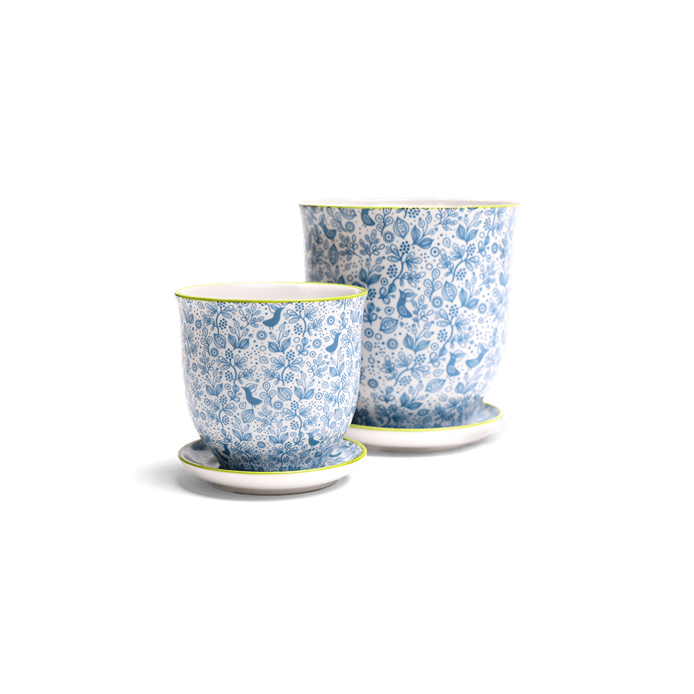 Liberte Porcelain Pot And Saucer Set With Drainage - Chive UK