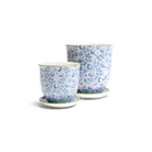 Liberte Porcelain Pot And Saucer Set With Drainage - Chive UK