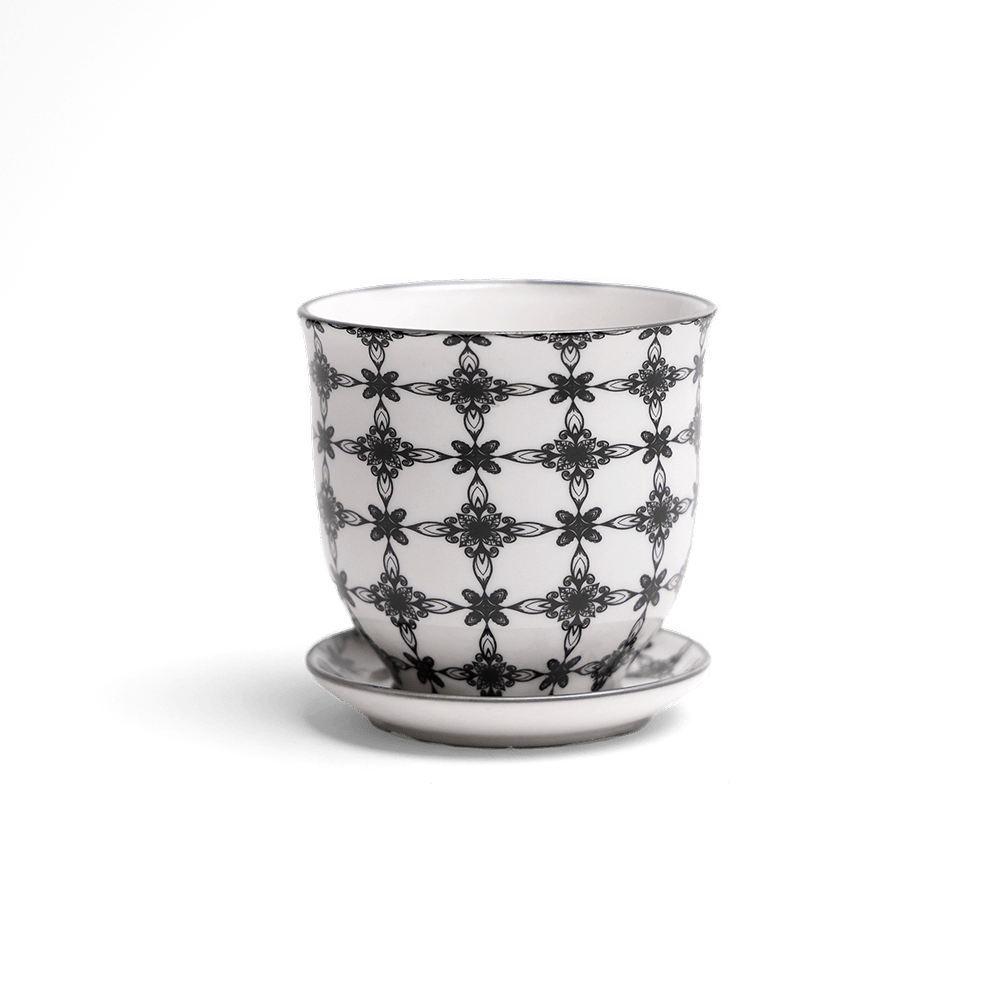 Liberte Porcelain Pot And Saucer Set With Drainage - Chive UK