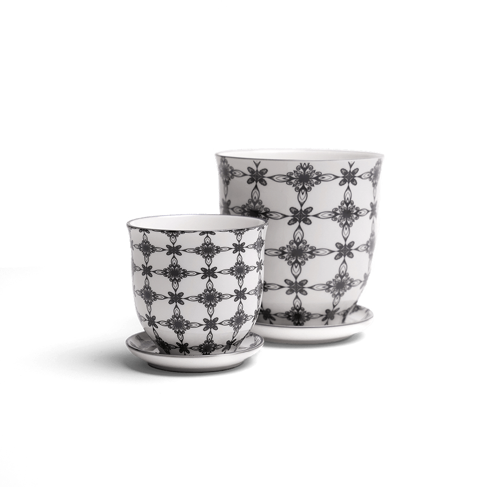 Liberte Porcelain Pot And Saucer Set With Drainage - Chive UK