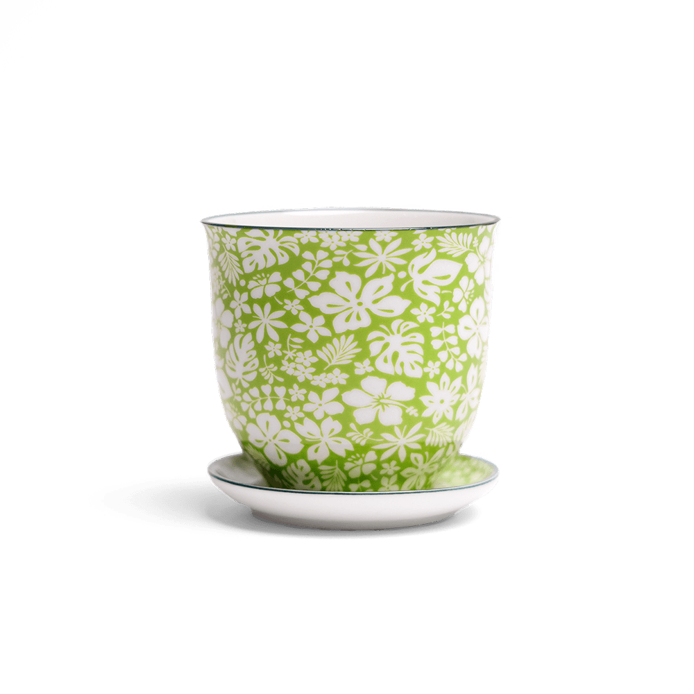 Liberte Porcelain Pot And Saucer Set With Drainage - Chive UK