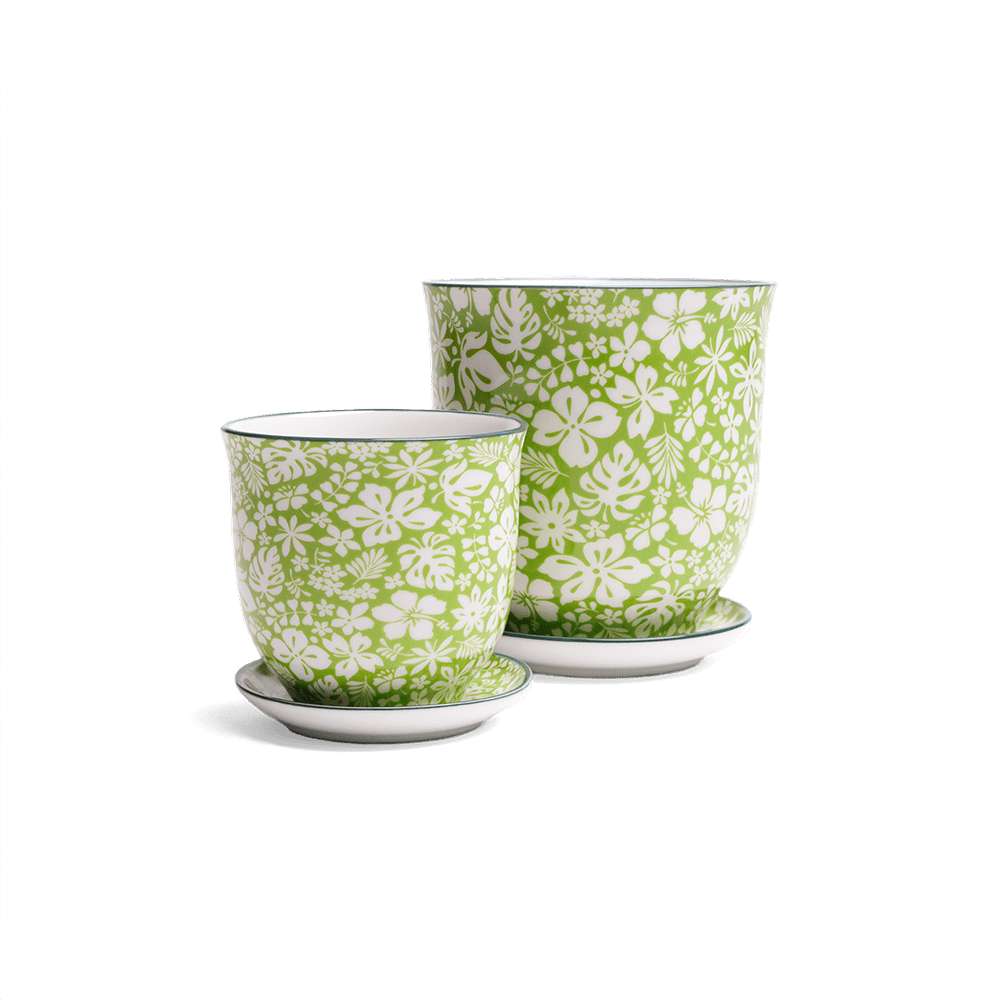 Liberte Porcelain Pot And Saucer Set With Drainage - Chive UK