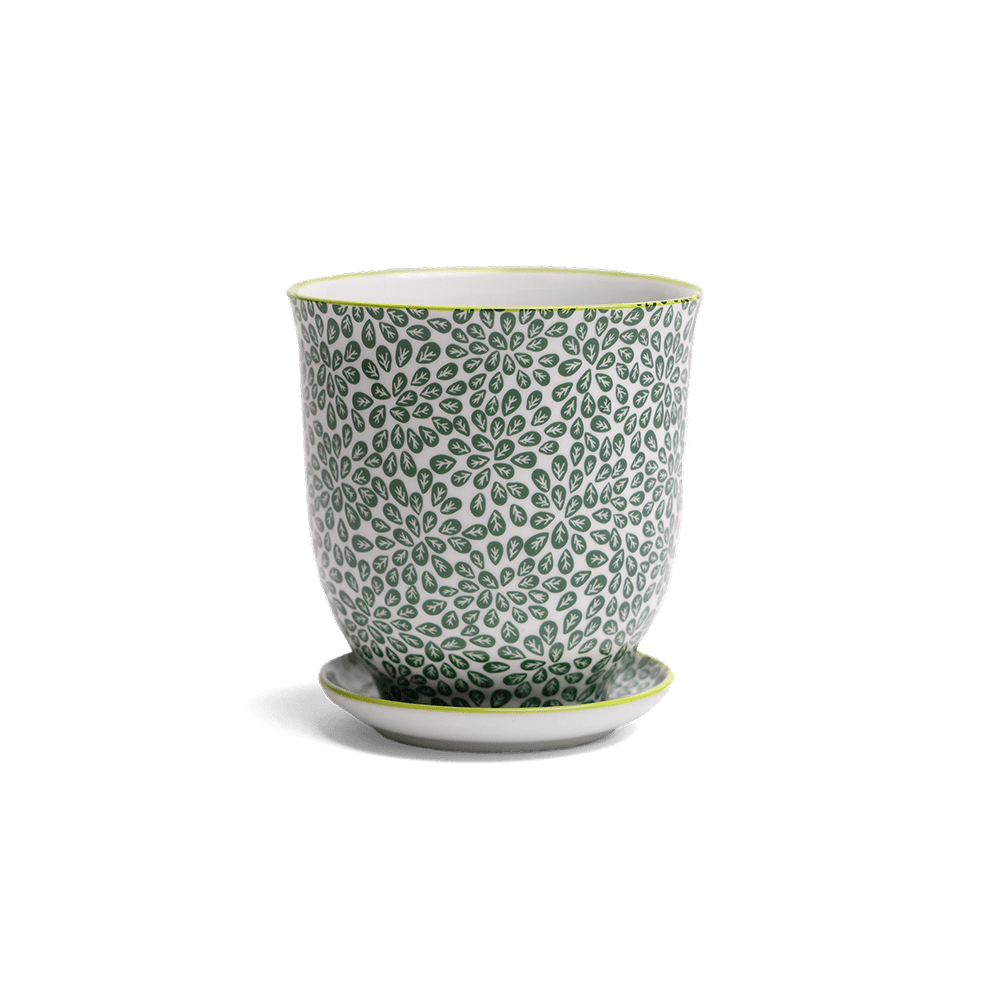 Liberte Porcelain Pot And Saucer Set With Drainage - Chive UK