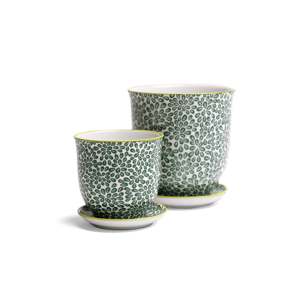 Liberte Porcelain Pot And Saucer Set With Drainage - Chive UK