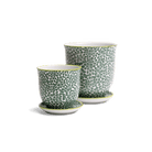 Liberte Porcelain Pot And Saucer Set With Drainage - Chive UK