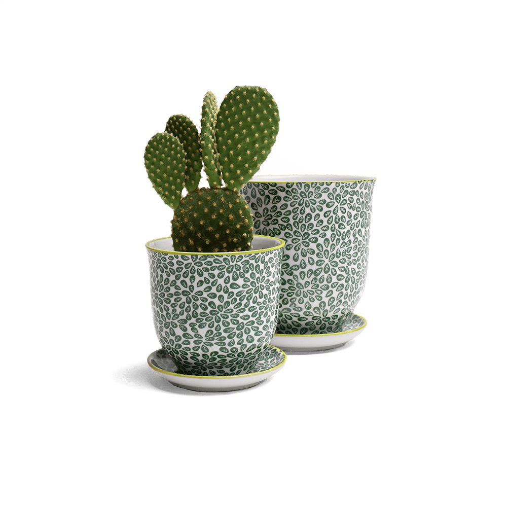 Liberte Porcelain Pot And Saucer Set With Drainage - Chive UK