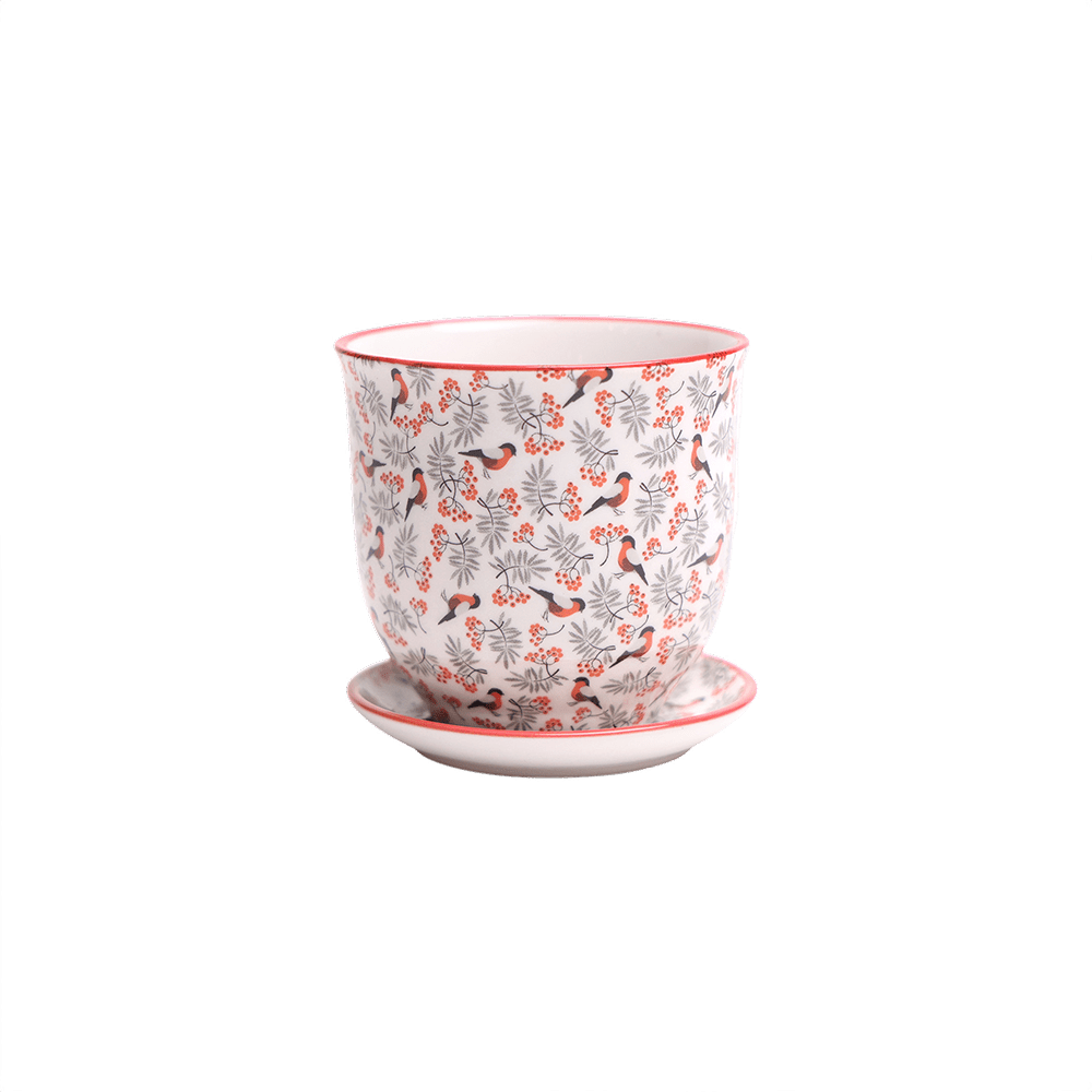 Liberte Porcelain Pot And Saucer Set With Drainage - Chive UK