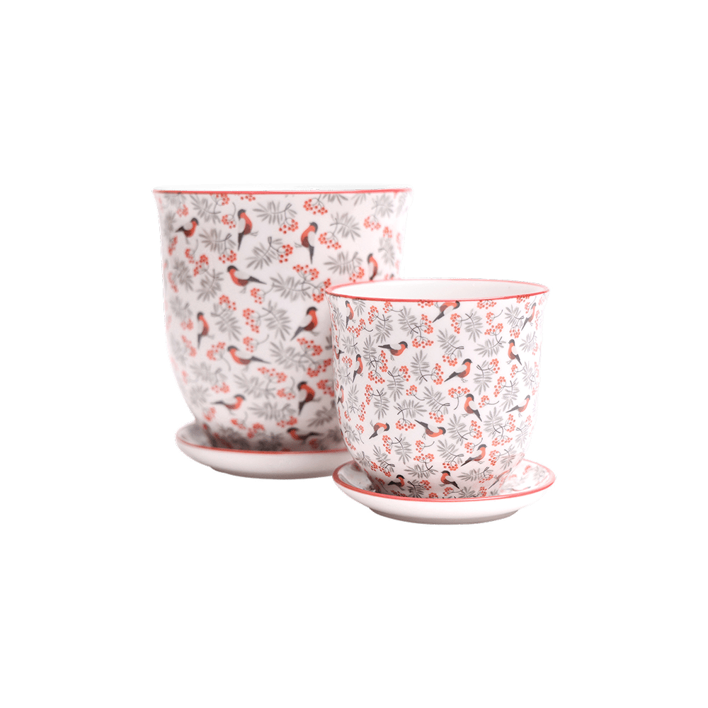 Liberte Porcelain Pot And Saucer Set With Drainage - Chive UK