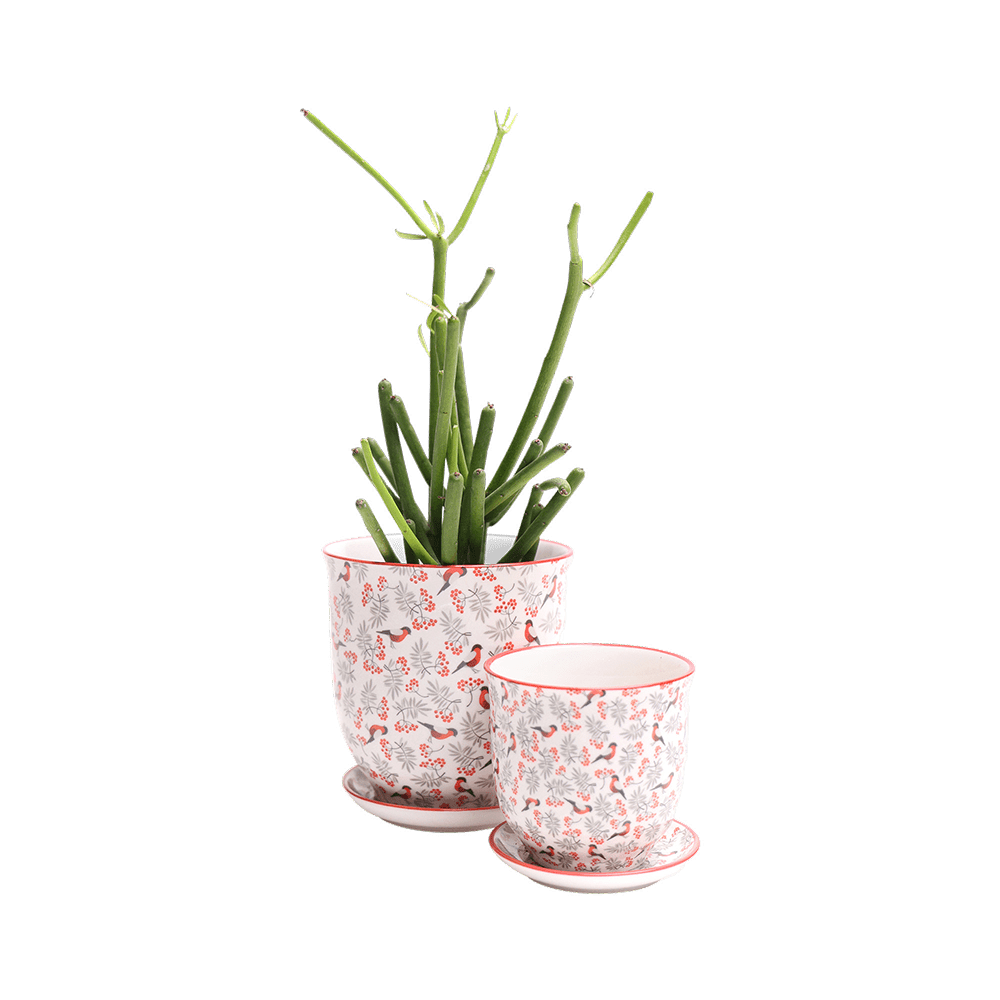 Liberte Porcelain Pot And Saucer Set With Drainage - Chive UK