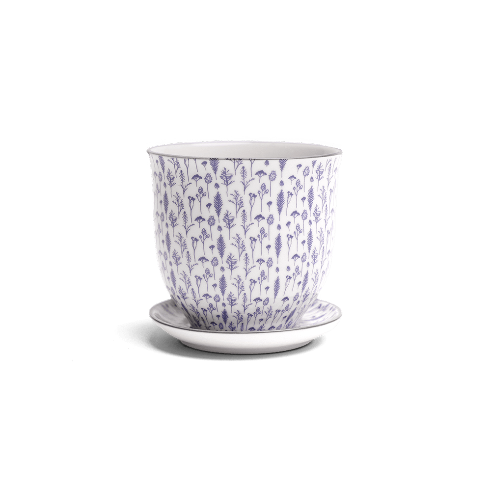 Liberte Porcelain Pot And Saucer Set With Drainage - Chive UK