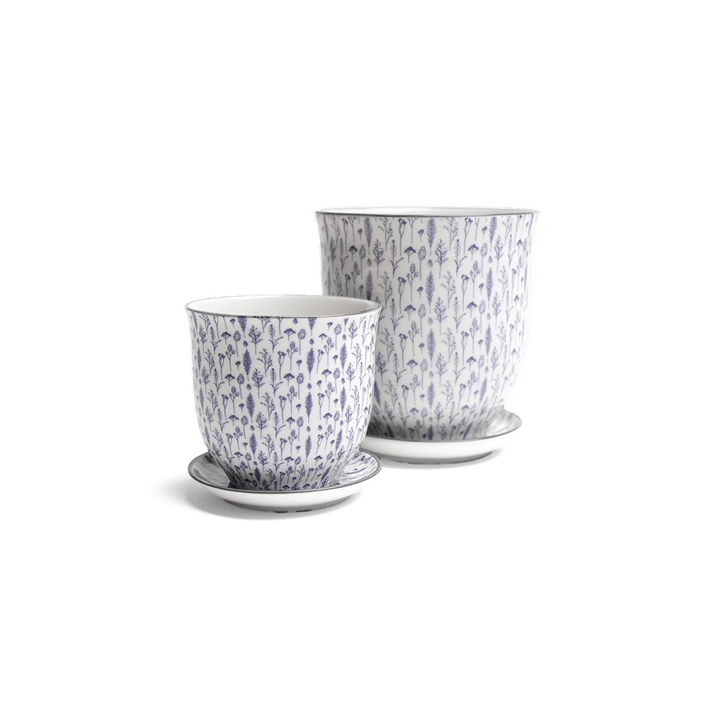 Liberte Porcelain Pot And Saucer Set With Drainage - Chive UK