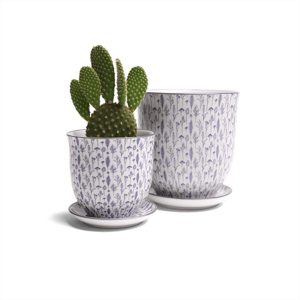 Liberte Porcelain Pot And Saucer Set With Drainage - Chive UK