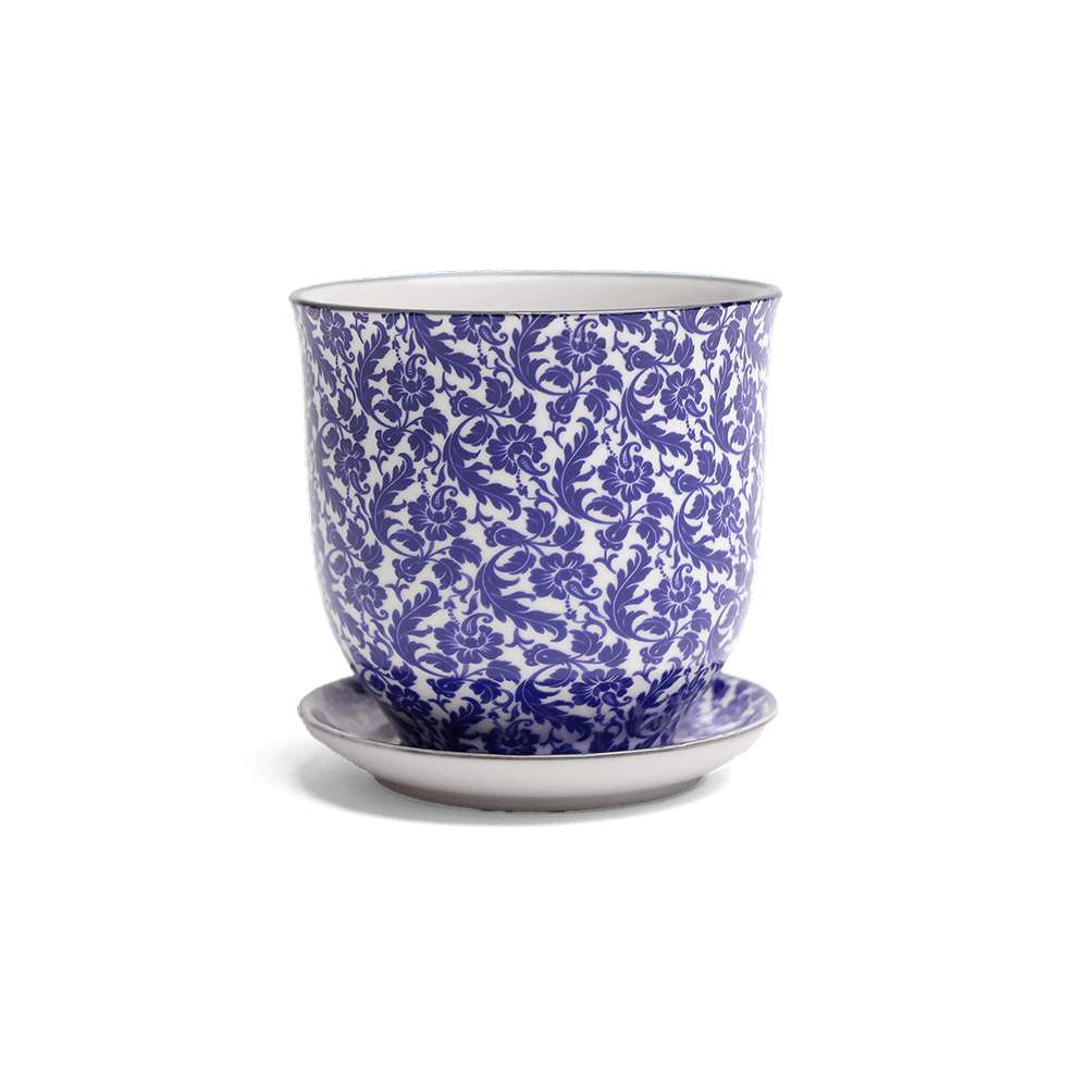 Liberte Porcelain Pot And Saucer Set With Drainage - Chive UK