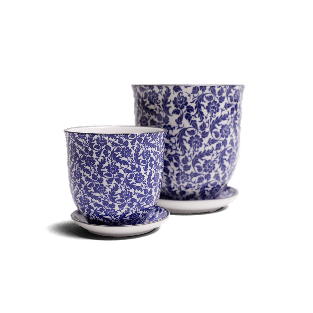 Liberte Porcelain Pot And Saucer Set With Drainage - Chive UK