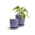 Liberte Porcelain Pot And Saucer Set With Drainage - Chive UK