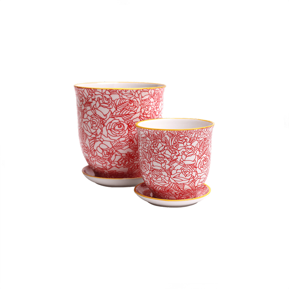 Liberte Porcelain Pot And Saucer Set With Drainage - Chive UK