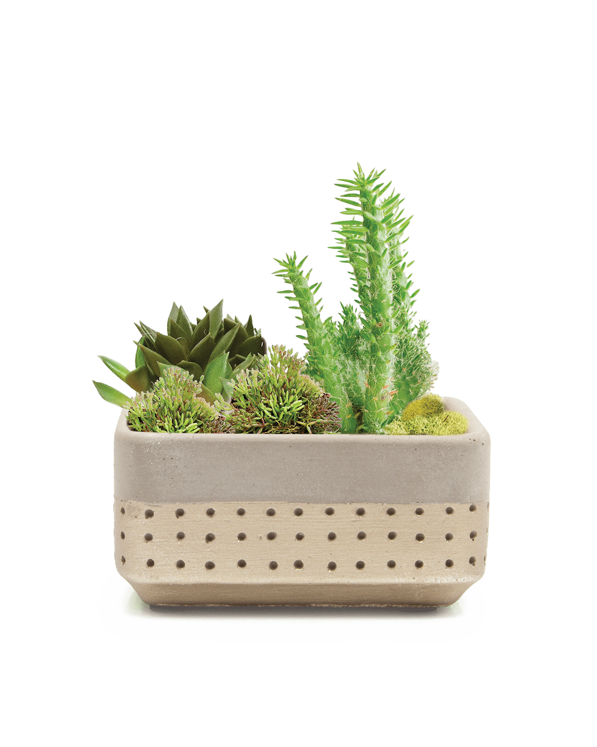 Meraki Cement Planter Pot - Chive UK