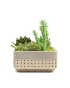 Meraki Cement Planter Pot - Chive UK