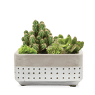 Meraki Cement Planter Pot - Chive UK