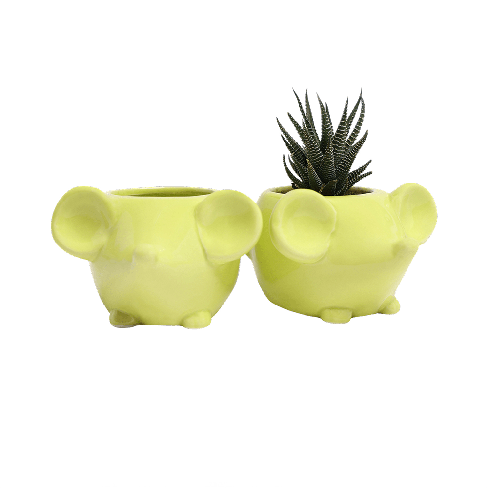 Mouse Ceramic Indoor Plant Pot For Succulents - Chive UK