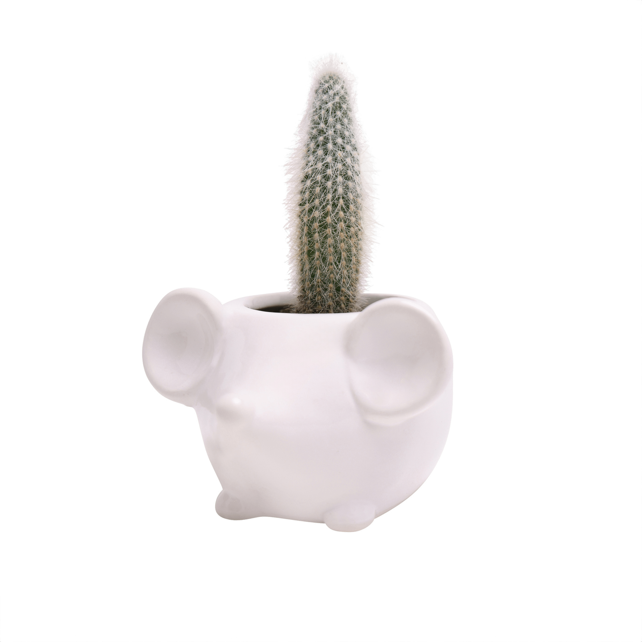 Mouse Ceramic Indoor Plant Pot For Succulents - Chive UK