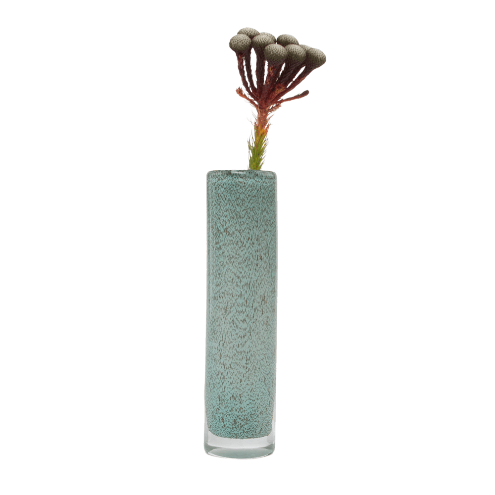 Nova Glass Flower Vase - Chive UK