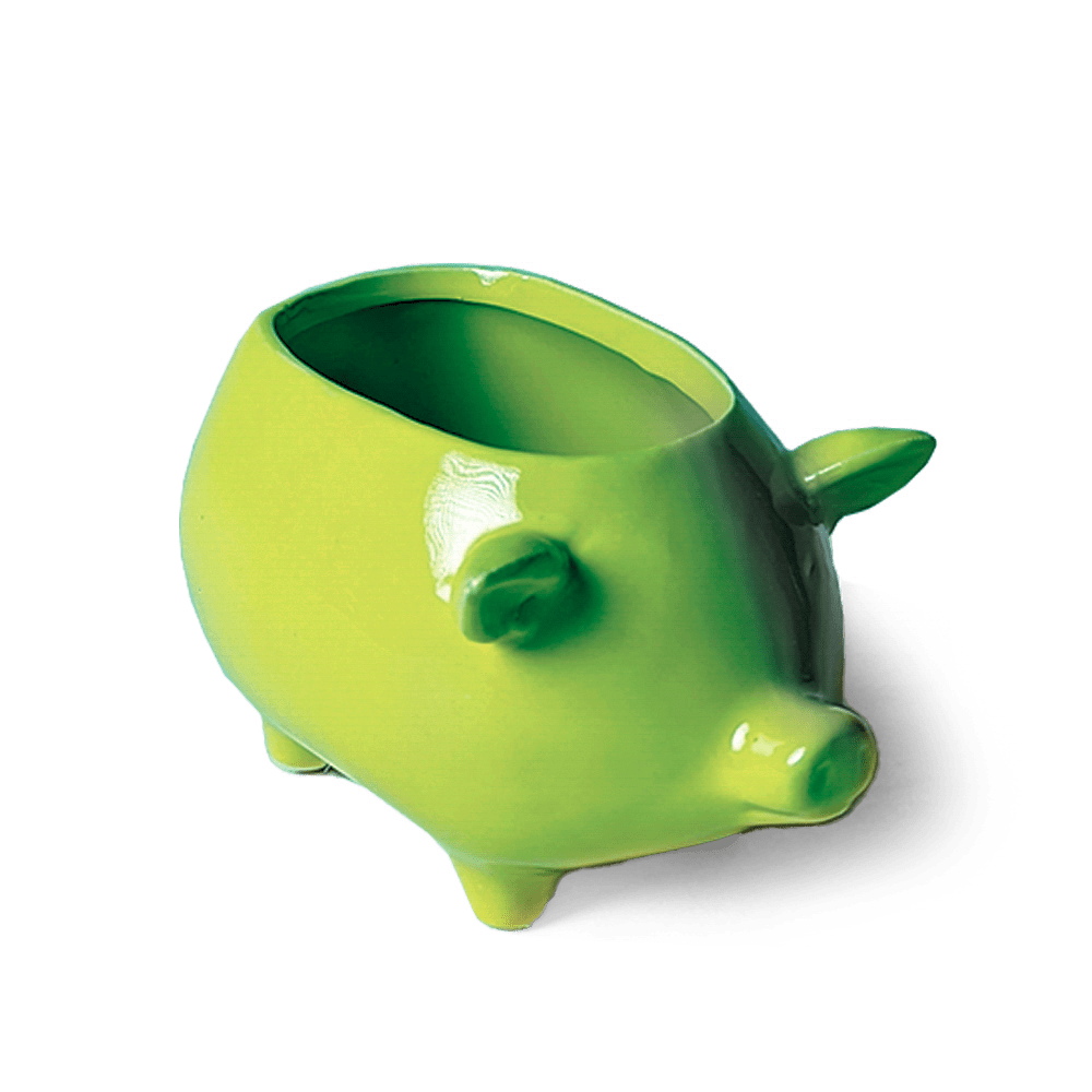 Pig Ceramic Indoor Plant Pot For Succulents - Chive UK