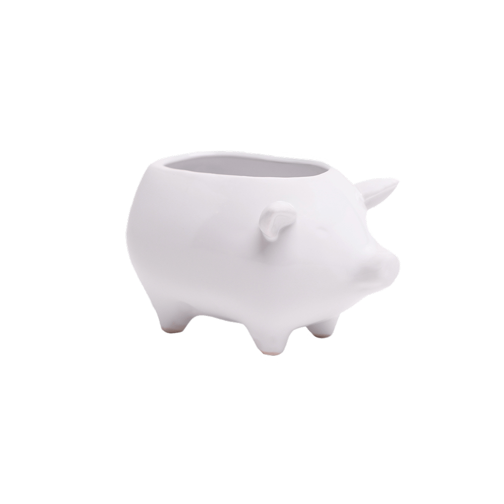 Pig Ceramic Indoor Plant Pot For Succulents - Chive UK