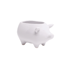 Pig Ceramic Indoor Plant Pot For Succulents - Chive UK