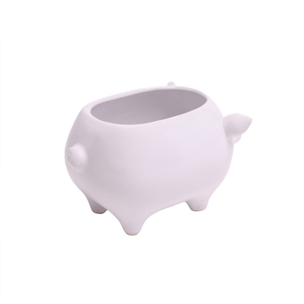 Pig Ceramic Indoor Plant Pot For Succulents - Chive UK