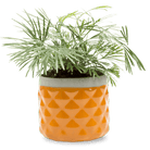 Pina Ceramic Succulent Planter Pot - Chive UK