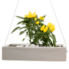 Ragna Ceramic Hanging Planter - Chive UK