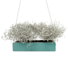 Ragna Ceramic Hanging Planter - Chive UK