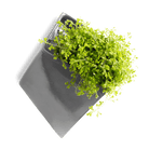 Slab Wall Planter For Succulents - Chive UK