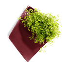 Slab Wall Planter For Succulents - Chive UK