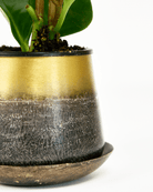 Joe Metal Pot With Drainage Hole - Chive UK