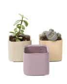 Svek Ceramic Indoor Succulent Pot - Chive UK