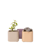 Svek Ceramic Indoor Succulent Pot - Chive UK