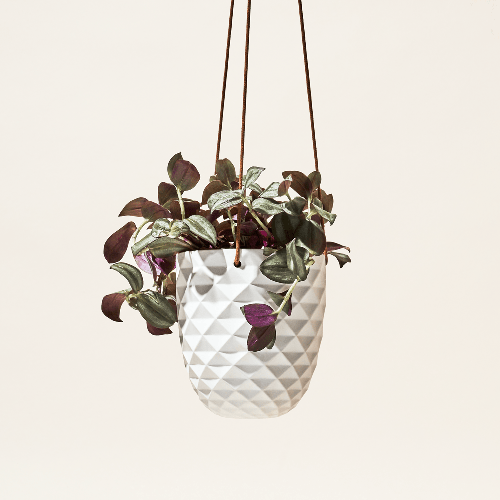 Thimble Porcelain Modern Hanging Planter - Chive UK