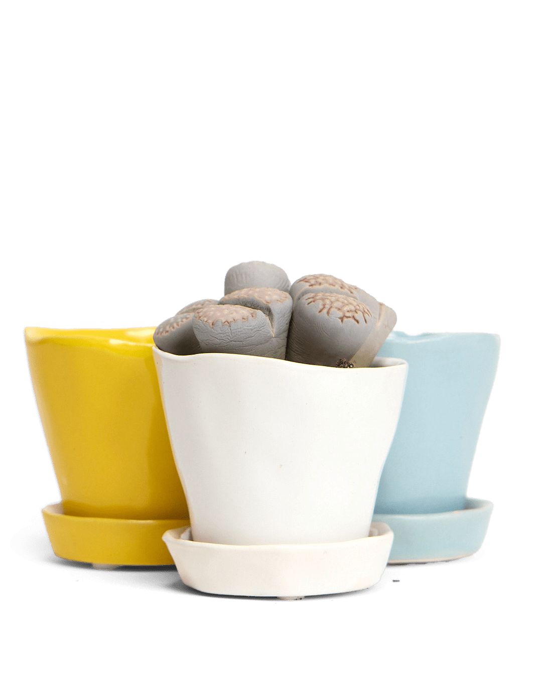 Tika Ceramic Pot & Saucer Set With Drainage - Chive UK