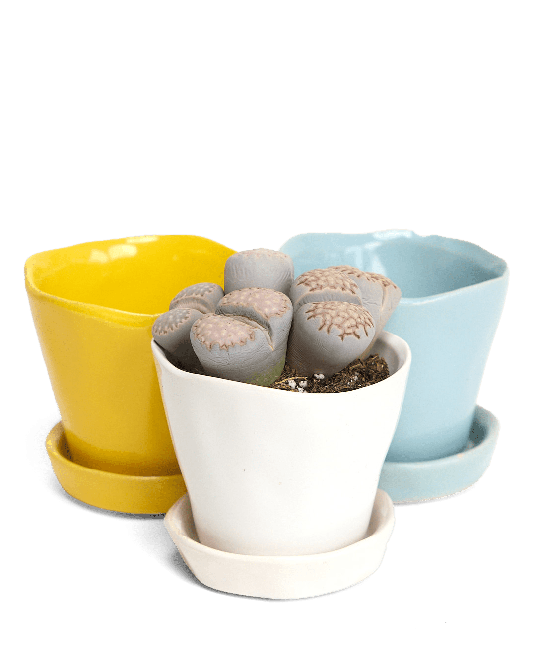 Tika Ceramic Pot & Saucer Set With Drainage - Chive UK